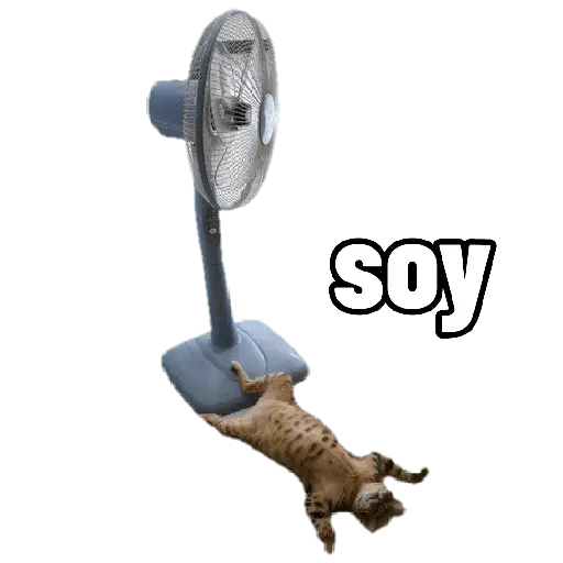 Michis con calor 🥵🥵 1