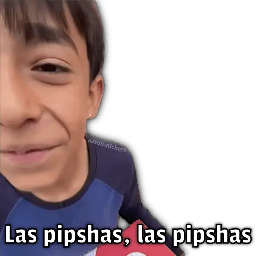 🍕•Ya Llegaron las Pipshash•🍕 3
