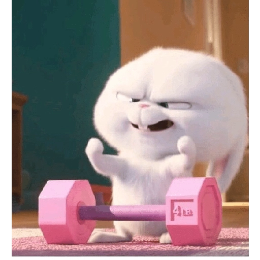 Gym 💪 10