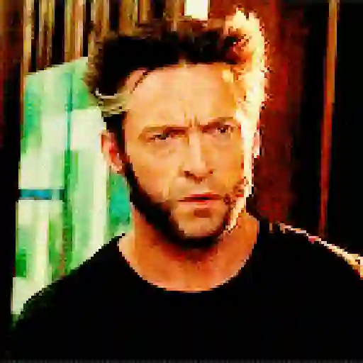 Wolverine🔝Logan 25