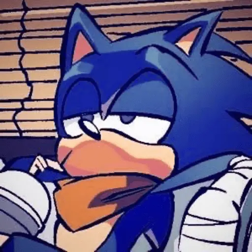 Meme Sonic Lucu 13