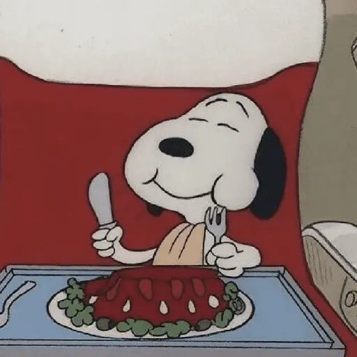 snoopy 😎 3