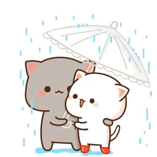 Lluvia☔️🌧️ 19
