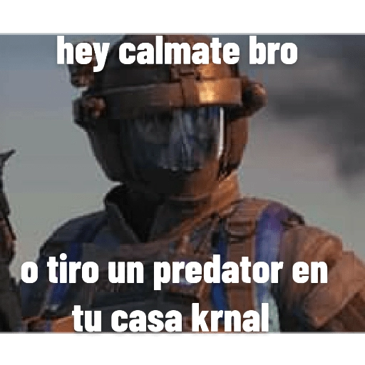 call Of Duty Mobile memes 13