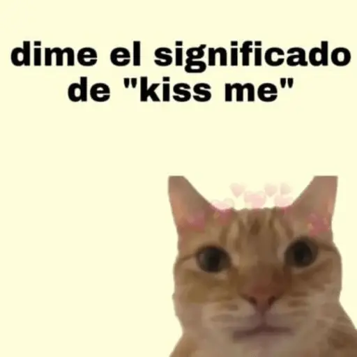 Michis Para Contestar 🐈⬛ 15