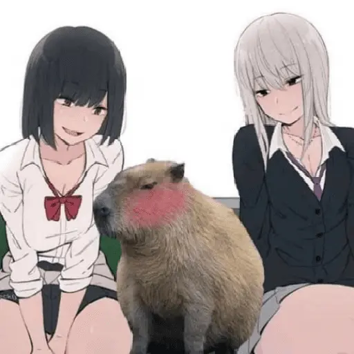 Capibara Random 🍉 29