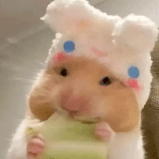🐹 HAMSTERS MOODCITOS 🐹 2