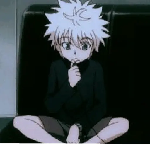 hunter x Hunter 27
