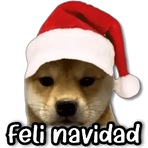 Memes Navideños #2 🎄