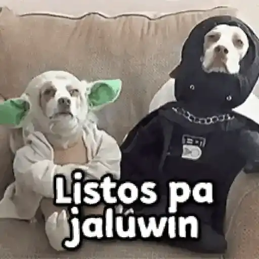 🎃 Halloween Pets 🎃 9
