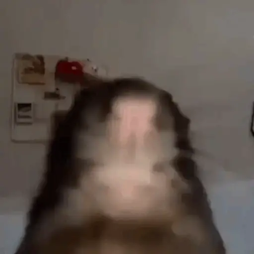 🐀 RATITAS PAL CHAT 🐀 3