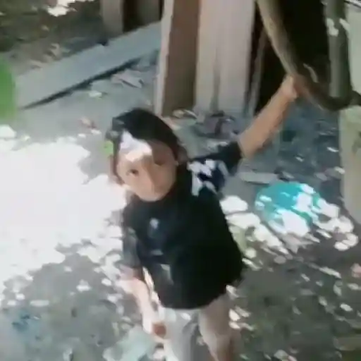 🌹 Rosita Niña TikTok Viral 📱 12