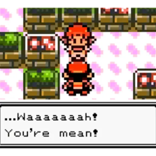 ...Waaaaaaah! You're mean!