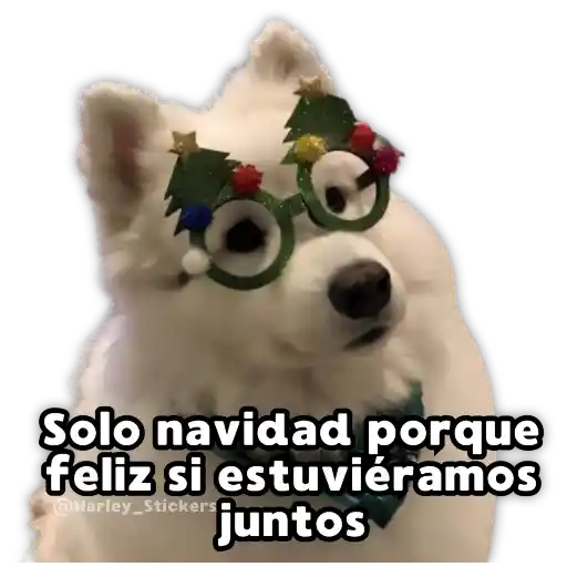 Perritos Navideños 9
