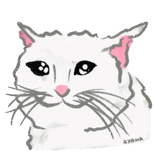 Chipi Chipi Chapa Chapa 3