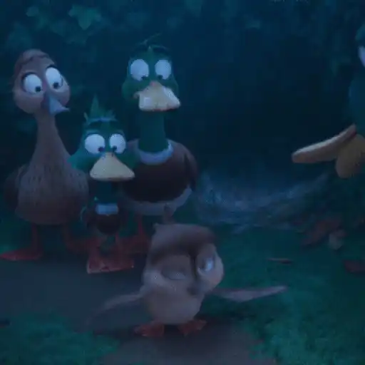 Migration 🦆💕1.1 Mov 21