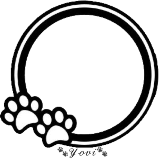 🐾Amor Perruno🐶🐾 12