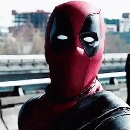 Deadpool × Wolverine 17