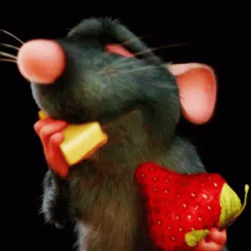 Ratatouille GIFs 20