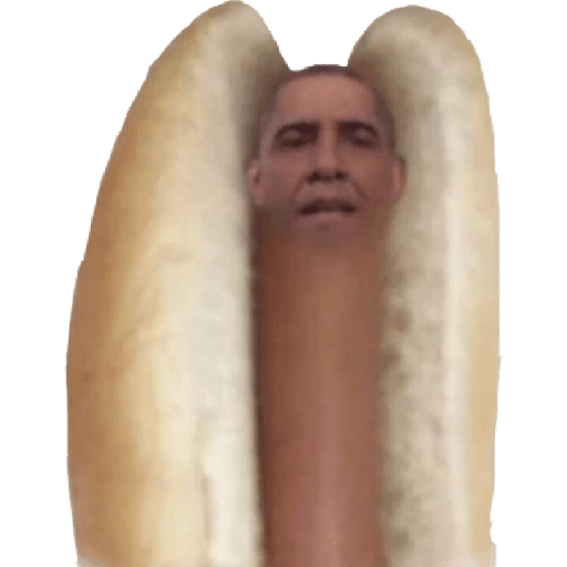 hot dog and bread 11