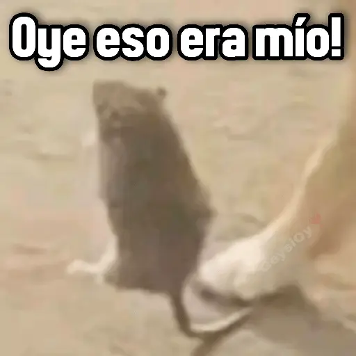 💫 conTrabajo estudio 🤣❣️ 12