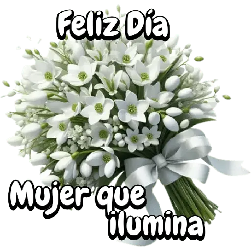 Feliz Día Mujer que ilumina