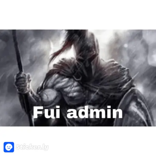 soy admin 13