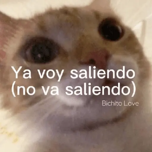 💥PAL GRUPO💥💬 2 4