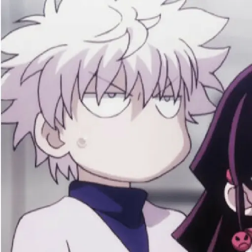 hunter x Hunter 16