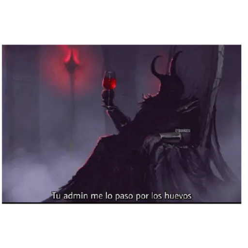 soy admin 24