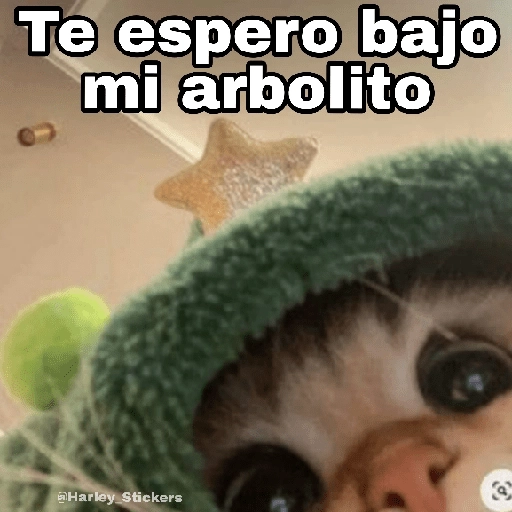 Gatitos Navidad 2