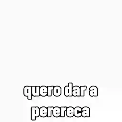 sapecagens - animadas 14