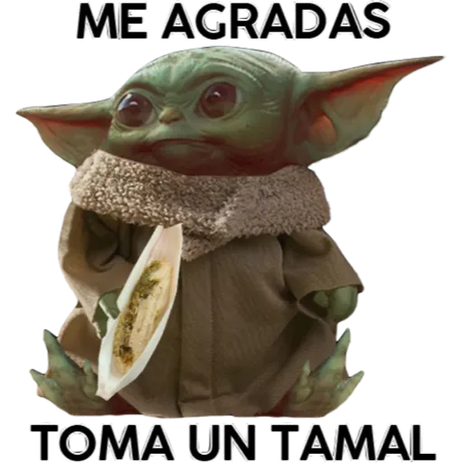 Baby Yoda en México 27