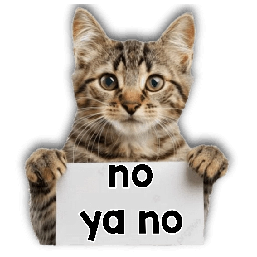 Michi mensajes gatito 🐱📩 5