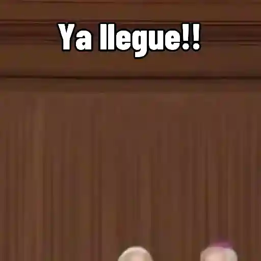 Papa león XIV 17