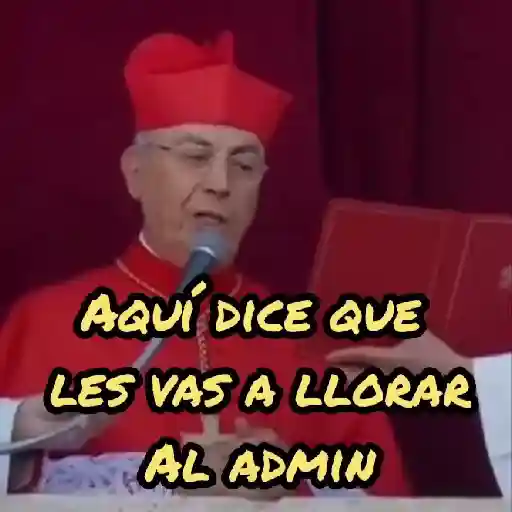 Papa Leon XIV 😎 9