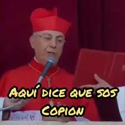 Papa Leon XIV 😎 23