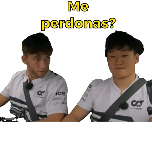 Formula 1 6