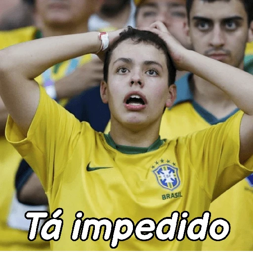 memes copa 🇧🇷 4