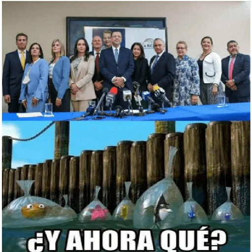 Mera de memes de costa rica 19