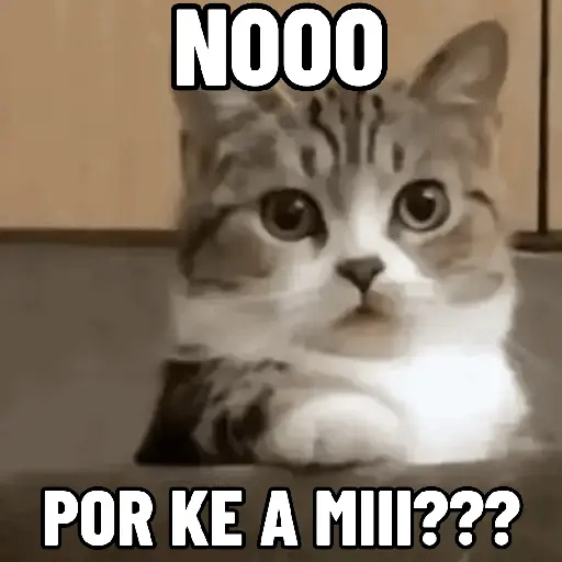NO ME DEJES EN VISTO ✔️✔️😾 7