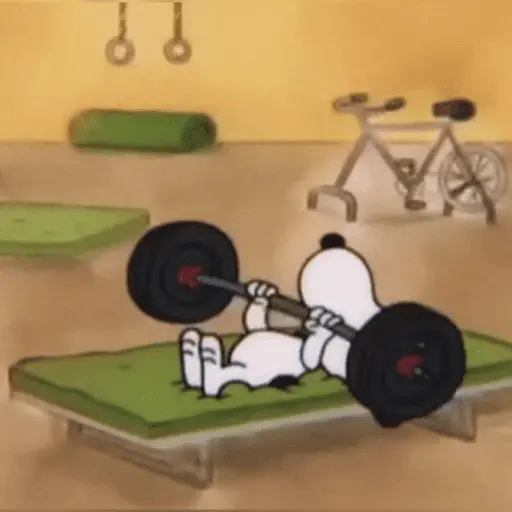 🐶 SNOOPY MOODS 🐾 13