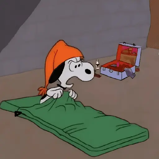 ♥️ Snoopy enojado 😡 16