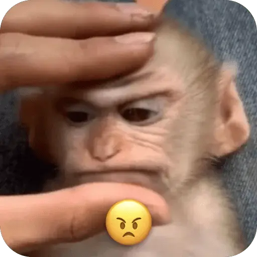 🐒 واکنش‌های میمون‌ها 🐒 10