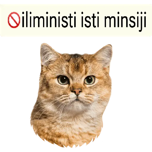 iliministi isti minsiji 😎 16