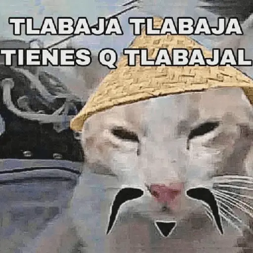 💥PAL GRUPO💥💬 2 8