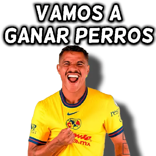 América 👑⚽ 30