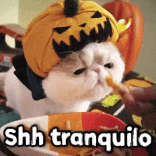 🎃 Halloween Pets 🎃 4
