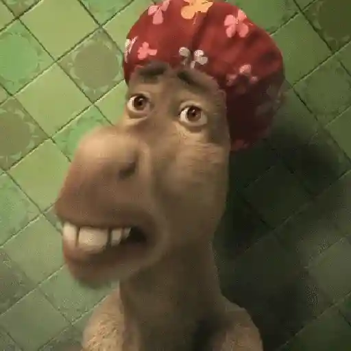 Burro 🫏 (Shrek) 1