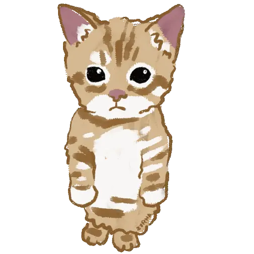 Chipi Chipi Chapa Chapa 4